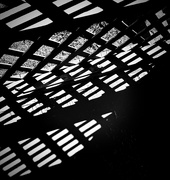 27th Mar 2025 - Lattice 