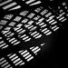 Lattice 