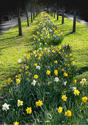 30th Mar 2025 - lightX