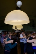 30th Mar 2025 - Dancing under the lamp