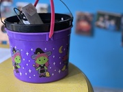 29th Mar 2025 - Purple - basket