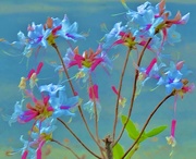 29th Mar 2025 - Floral photo art