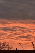 31st Mar 2025 - IMG_6038