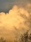 31st Mar 2025 - Cloud Dance