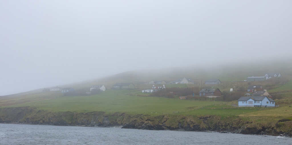 Misty end to March by lifeat60degrees