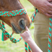 Touching... by thewatersphotos
