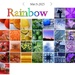 Rainbow 2025