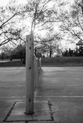 31st Mar 2025 - Double Neat  