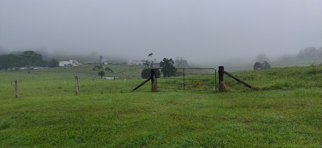Misty day at Maleny by jeneurell