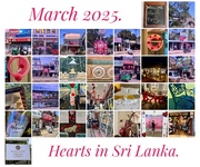 1st Apr 2025 - Hearts in Sri Lanka. 
