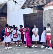 28th Mar 2025 - School is finished ! 