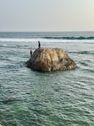 29th Mar 2025 - The island rock. 