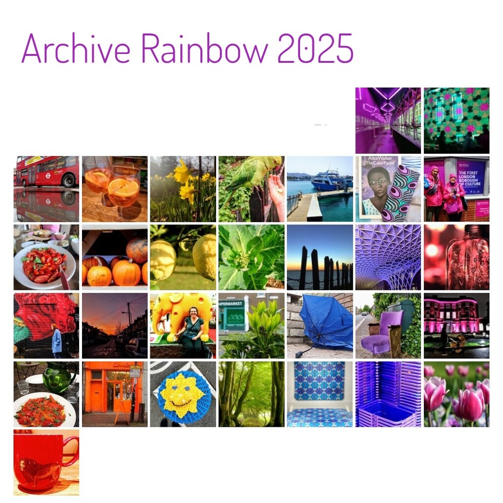 Archive Rainbow 2025 by boxplayer