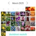 Rainbow month March 2025 by busylady