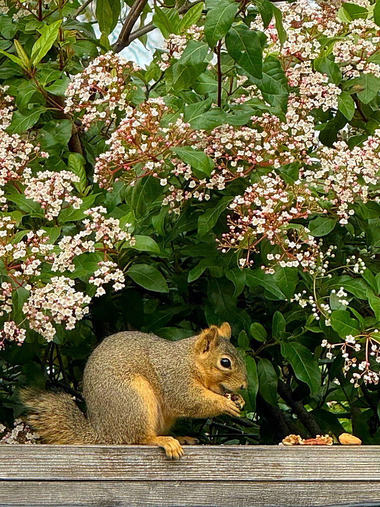 To Be Kind to an Animal by gardenfolk