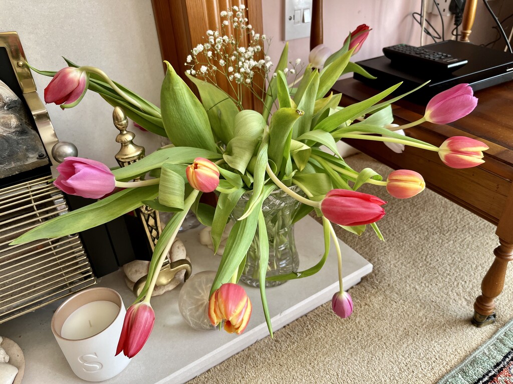 Mothers Day.. by moominmomma