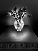 2nd Apr 2025 - Tulips in B&W