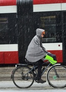 2nd Apr 2025 - Where is Spring?