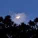 Half moon