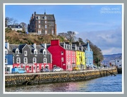3rd Apr 2025 - Tobermoray's Colourful Harbour Buildings,Mull