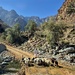 Shepherding goats