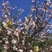 Spring has sprung! 
