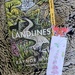 Landlines 