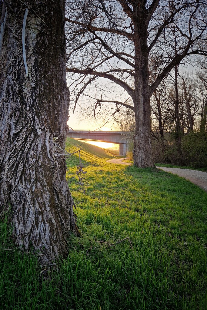Spring by duska