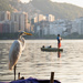 The heron and the fisherman by stefanotrezzi