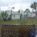 Rainfall 