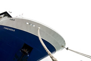 4th Apr 2025 - Tangaroa