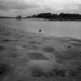 What makes holes beneath the tide? I