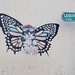 Pussy Cat Butterfly. Lb Cannon