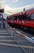 3rd Apr 2025 - Red train conundrum 