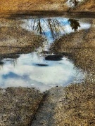 4th Apr 2025 - Puddles Everywhere