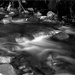 By the river 3