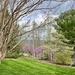 Spring  by calm