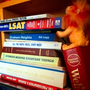 4th Apr 2025 - Need a School Librarian-  Day 4