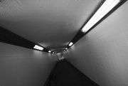 5th Apr 2025 - Tunnel