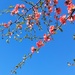 Colours of spring by monikozi