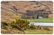 5th Apr 2025 - Very Secluded In Glencoe