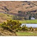 Very Secluded In Glencoe by carolmw