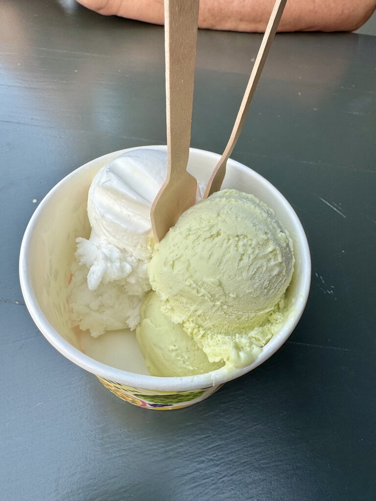 Soursop and Avocado ice-cream.   by cocobella