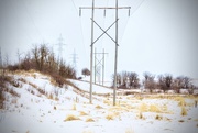 5th Apr 2025 - Hydro Poles
