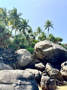 3rd Apr 2025 - The rock beach. 