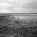 Detritus after the fall
