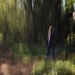 A walk in the woods  by dragey74