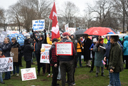 5th Apr 2025 - Successful rally