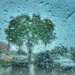 We always make a fuss about rain