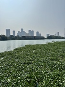 6th Apr 2025 - Colombo skyline. 